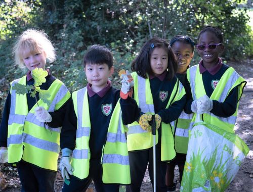 Litter picking 15 of 25