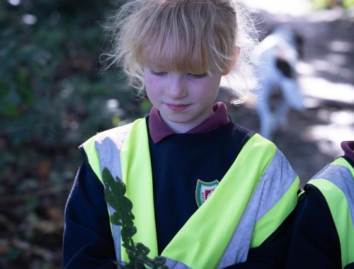 Litter picking 16 of 25