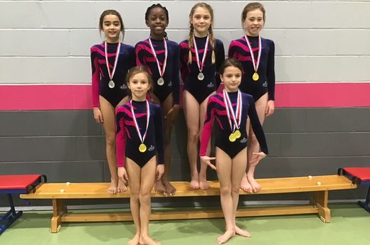 Rydes Hill win 7 medals at the Prior’s Field interschool Gymnastics Festival