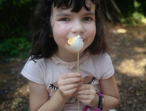 Forest school Summer Club Rydes Hill 9