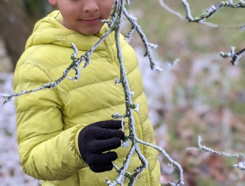 Forest School Rydes Hill Remote Learning 5 of 14