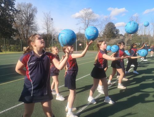 Netball Cross country Rydes Hill Prep School 7 of 9