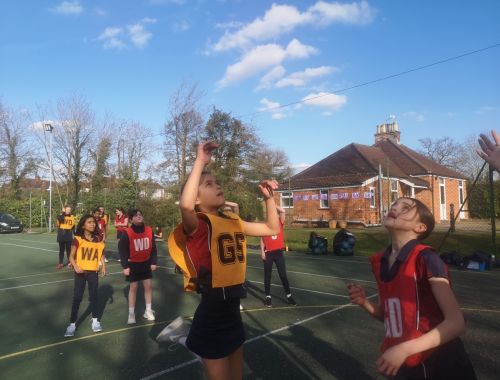 Netball Cross country Rydes Hill Prep School 8 of 9