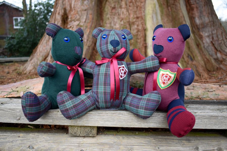 Bear Hunt Open Day
