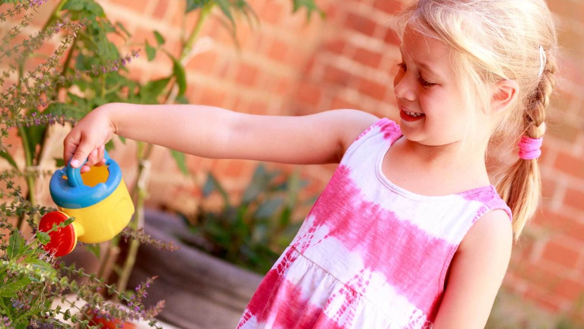 Rydes Hill Nursery Watering Plants